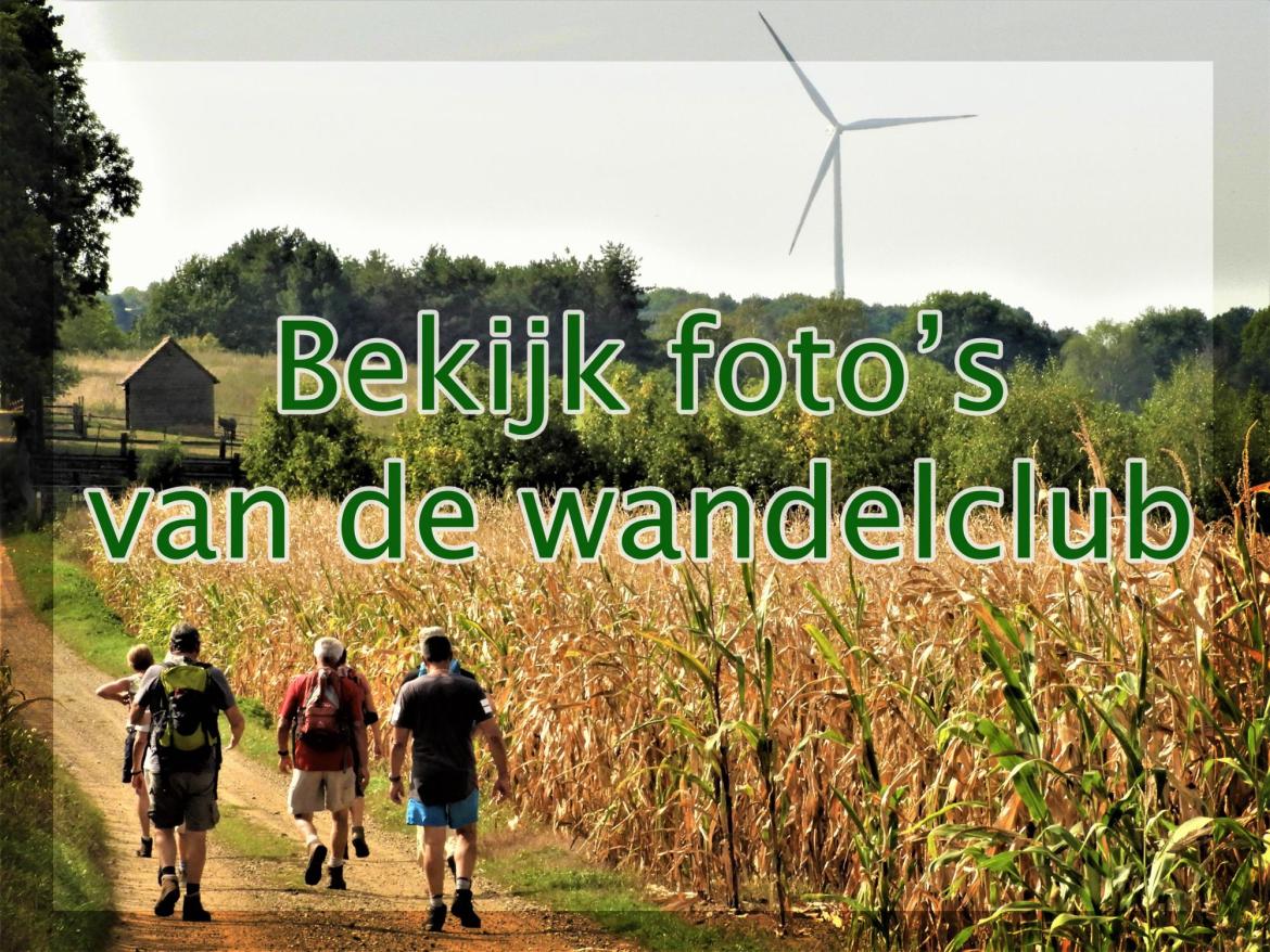 wandel