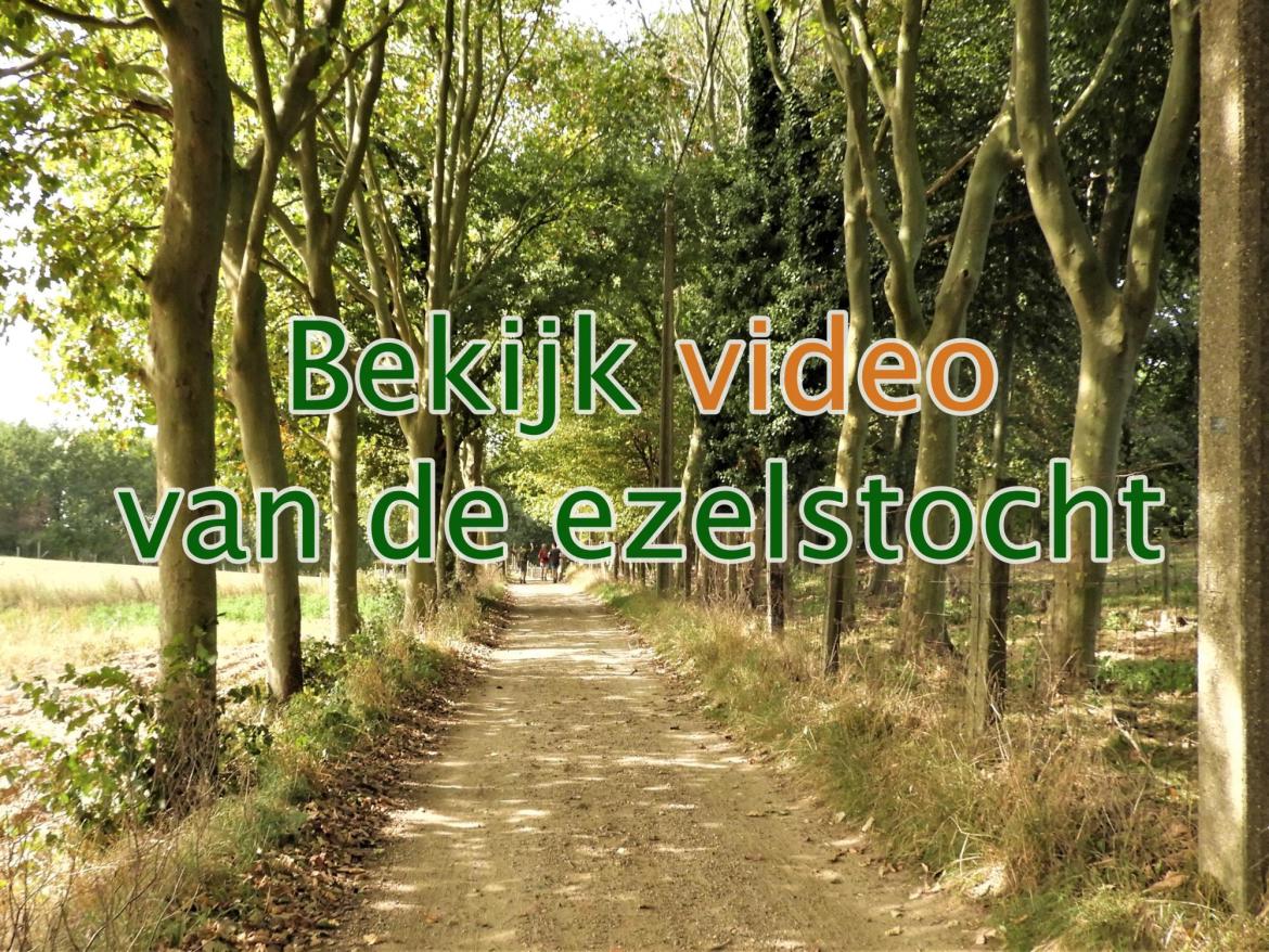ezel